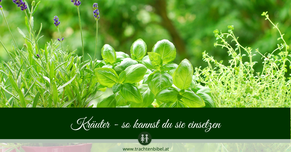 Welt der Kräuter – ein Tor zur Natur